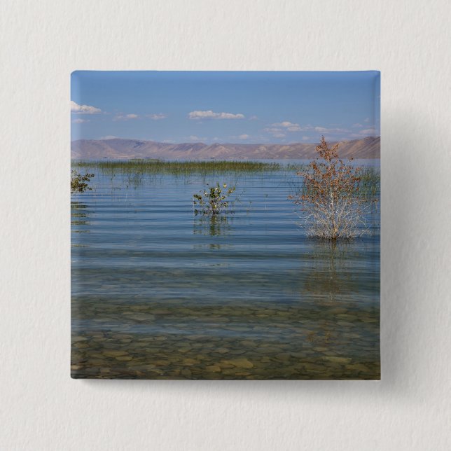 UT, Bear Lake 2 Inch Square Button (Front)