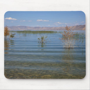 UT, Bear Lake Mouse Pad