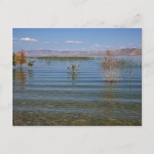 UT, Bear Lake Postcard (Front)