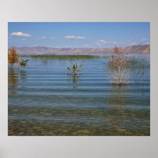 UT, Bear Lake Poster (Front)
