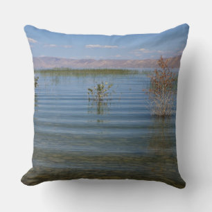 UT, Bear Lake Throw Pillow