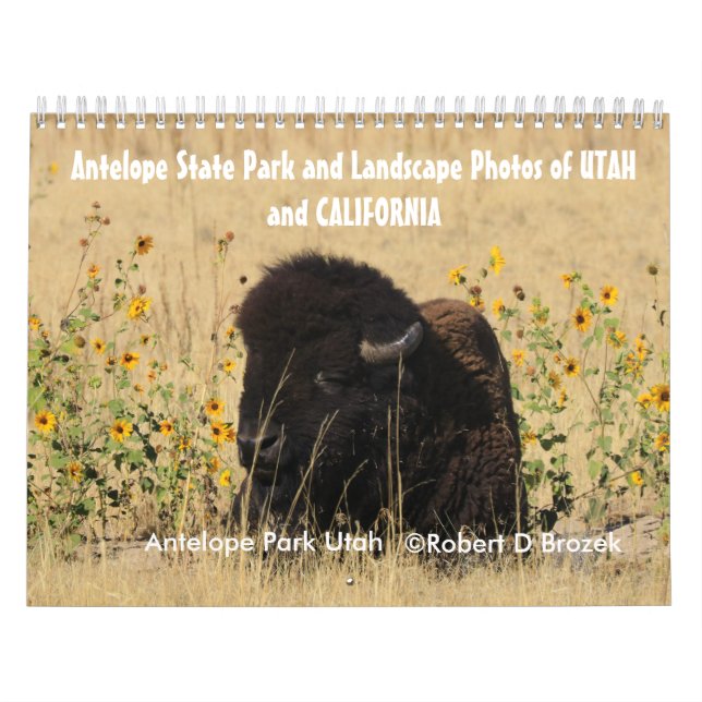 Utah and Lake Tahoe Landscapes Calendar (Cover)