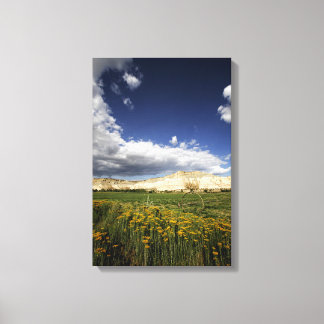 Utah Canvas Print