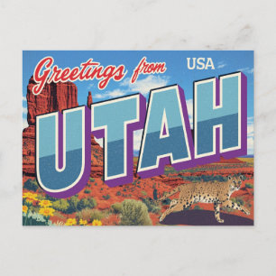 Utah Desert Bobcat Monument Valley Postcard