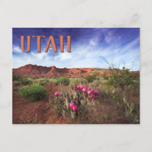 Utah Desert Spring Cactus Postcard