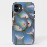 Utah, Dixie National Forest. Close-up of yucca