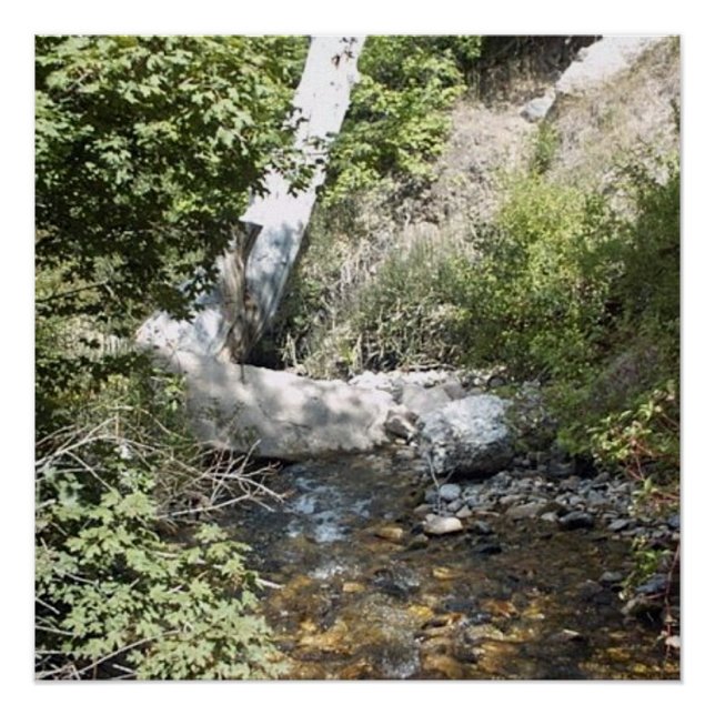 Utah Nature Photo Poster (Front)