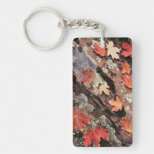 Utah, parc national de Zion, Motifs d'automne