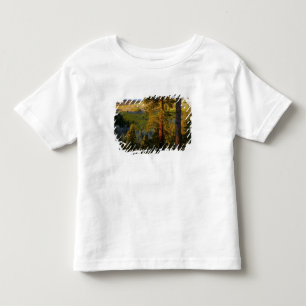 UTAH. Ponderosa pines & aspen, autumn. Sunrise, Toddler T-shirt