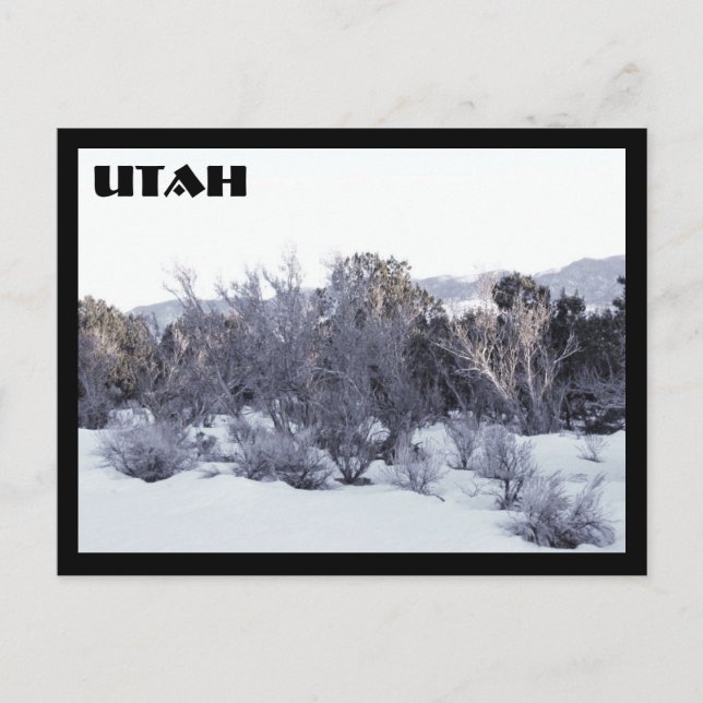 Utah Postcard (Front)