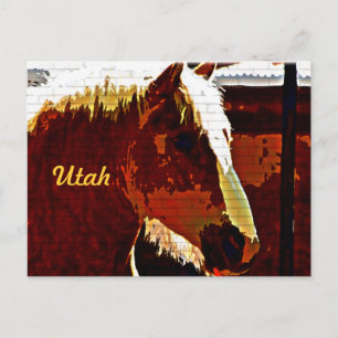 Utah, Sorrel Horse In Profile Postcard