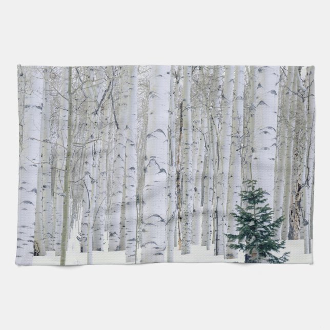 UTAH. USA. Aspen (Populus tremuloides) & Douglas Kitchen Towel (Horizontal)