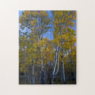 Utah. USA. Aspen Trees And Moon At Dusk Jigsaw Puzzle
