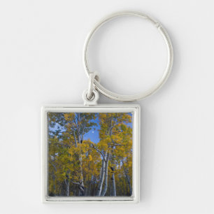 Utah. USA. Aspen Trees And Moon At Dusk Keychain
