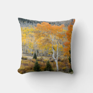 Utah, USA. Aspen Trees And Willow Thickets Throw Pillow