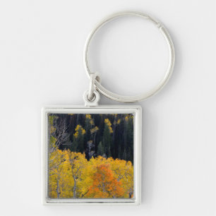 Utah. USA. Aspen Trees In Autumn On The Sevier Keychain