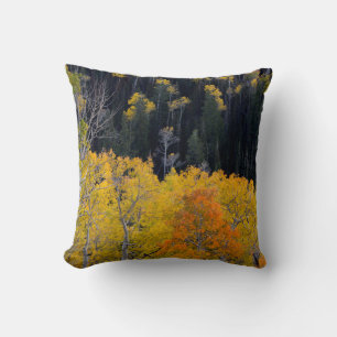 Utah. USA. Aspen Trees In Autumn On The Sevier Throw Pillow