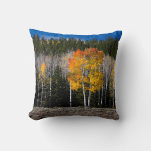 Utah, USA. Aspen Trees (Populus Tremuloides) 2 Throw Pillow
