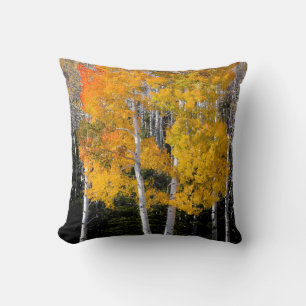 Utah, USA. Aspen Trees (Populus Tremuloides) 3 Throw Pillow