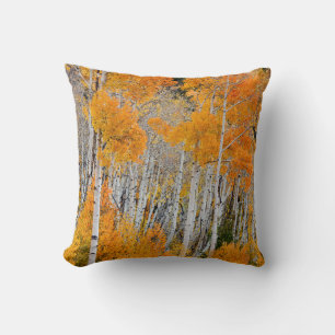 Utah, USA. Aspen Trees (Populus Tremuloides) 4 Throw Pillow