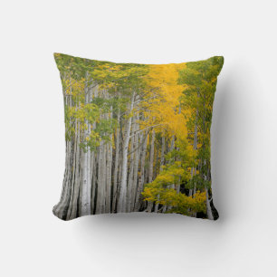 Utah. USA. Aspen Trees (Populus Tremuloides) Throw Pillow