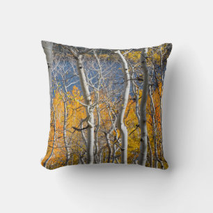 Utah, USA. Aspen Trees (Populus Tremuloides) Throw Pillow