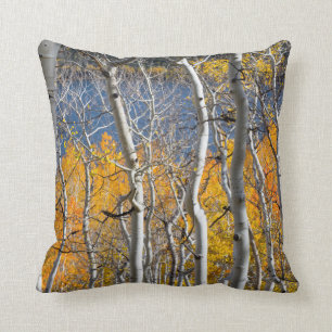 Utah, USA. Aspen Trees (Populus Tremuloides) Throw Pillow