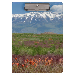 Utah, USA. Mt. Timpanogos Rises Above Clipboard