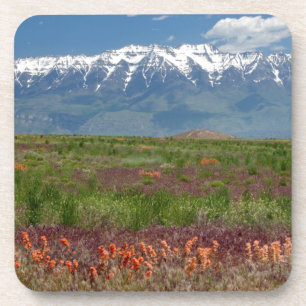 Utah, USA. Mt. Timpanogos Rises Above Coaster