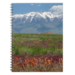 Utah, USA. Mt. Timpanogos Rises Above Notebook