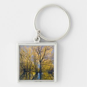 Utah. USA. Peachleaf Willow Trees Keychain