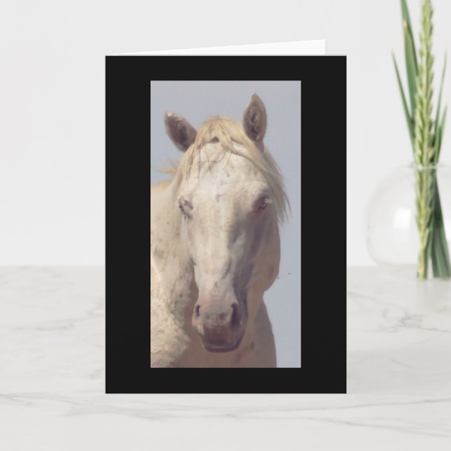UTAH WILD HORSE LA Carte de voeux pliée ALBINO (Devant)