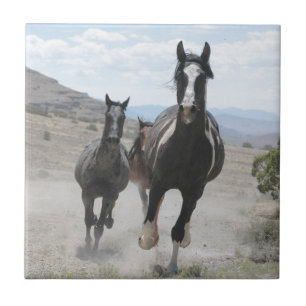 Utah Wild Horses Running Tile