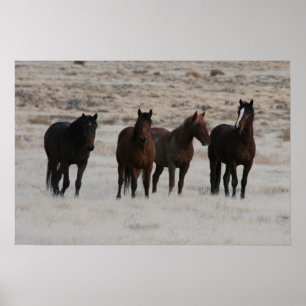 Utah Wild Mustangs Poster