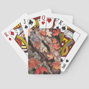 Utah, Zion National Park, Patterns of autumn Playing Cards
