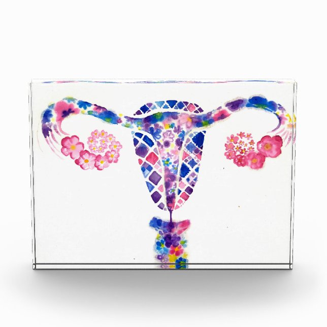 Uterus Photo Block (Front)