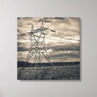Utility Pole in Field