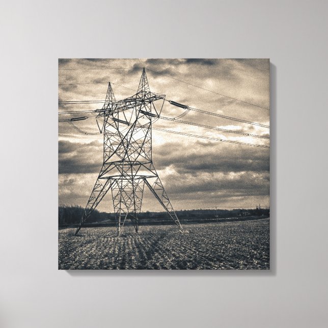 Utility Pole in Field Canvas Print (Front)