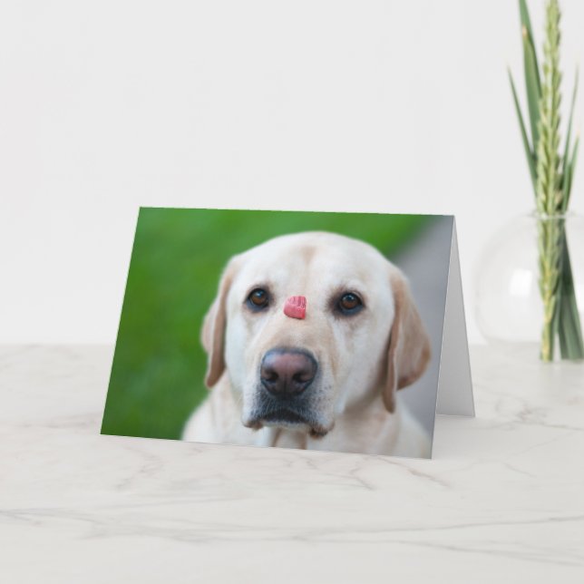 Utmost Patience Holiday Card (Front)