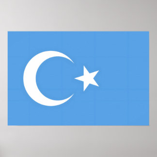 Uyghur/ East Turkestan Poster