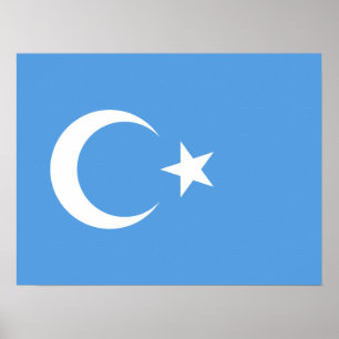 Uyghur/ East Turkestan Poster