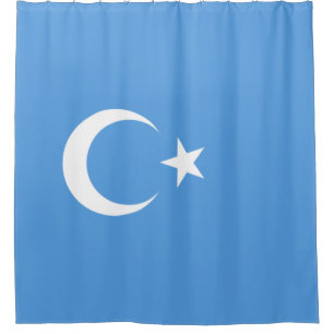 Uyghur Flag of East Turkistan (Uyghuristan)