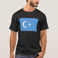 Uyghur Flag