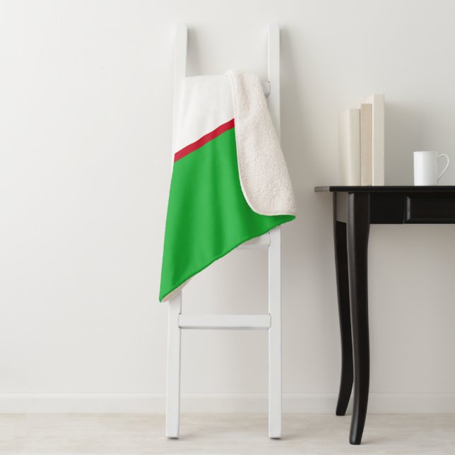 Uzbekistan flag sherpa blanket (In Situ)