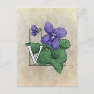 V for Violets Flower Monogram Postcard