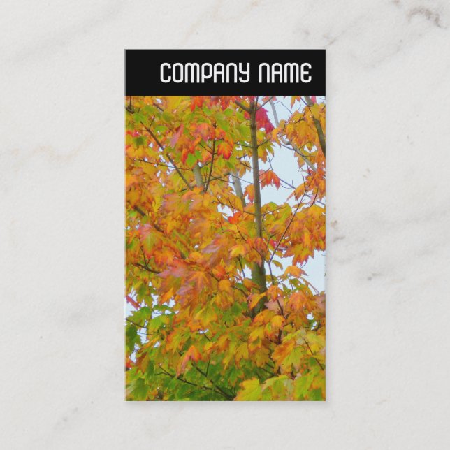 V Header - Autumn Leaves Business Card (Front)