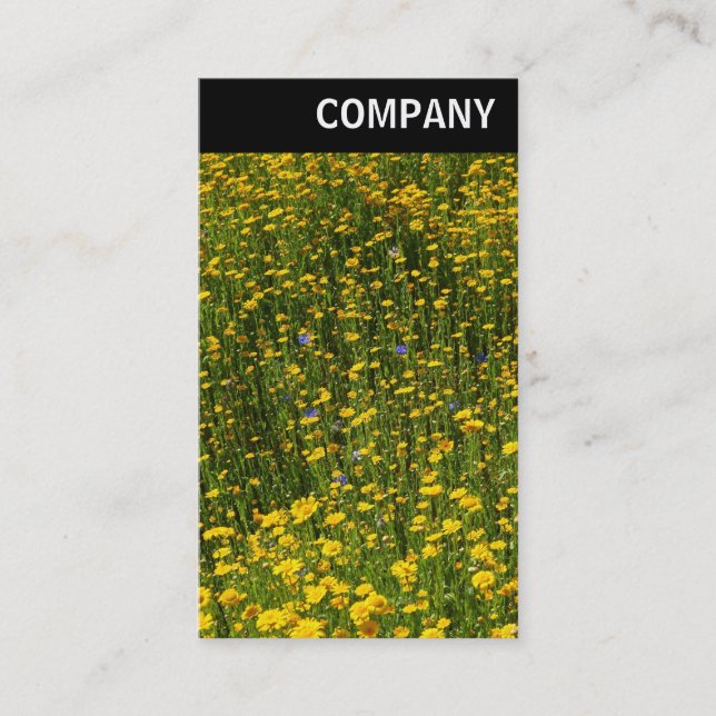 V Header - Bed of Yellow Daisies Business Card (Front)