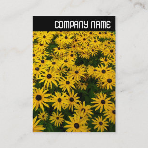 V Header - Black-eyed Susans (Rudbeckia Hirta) Business Card