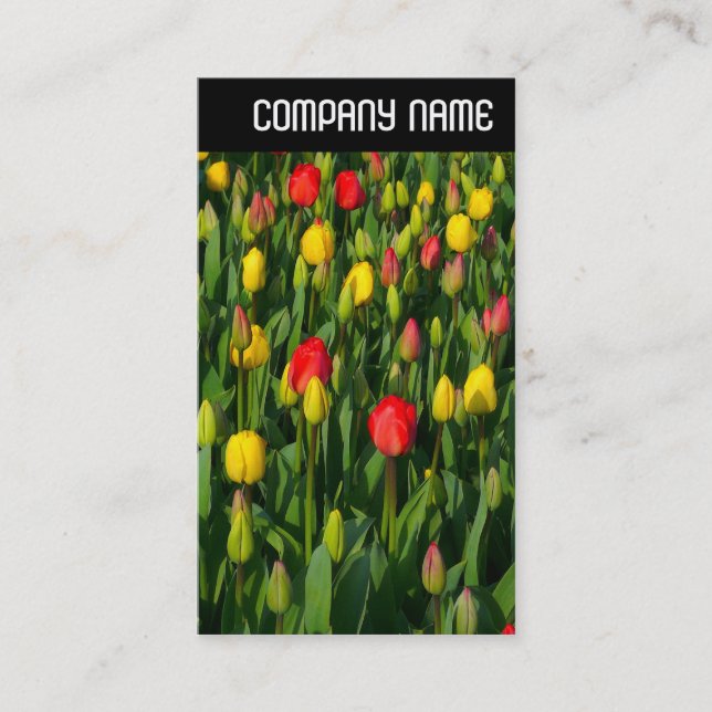 V Header - Colourful Tulips Business Card (Front)