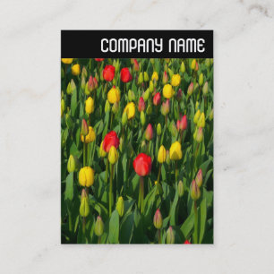 V Header - Colourful Tulips Business Card